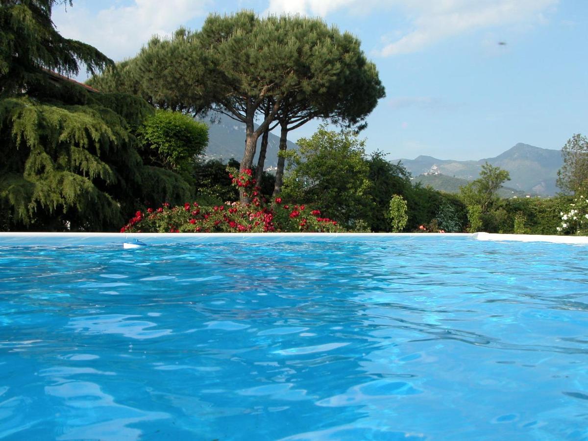 Pietrasanta - Versilia - Villa Arzilla Garden Con Piscina Тонфано Экстерьер фото